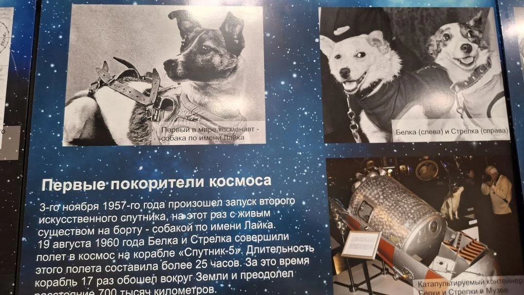 🚀В канун Дня космонавтики в школе № 32 г. Йошкар-Олы стартовала выставка «Путь к звёздам». Проект ре