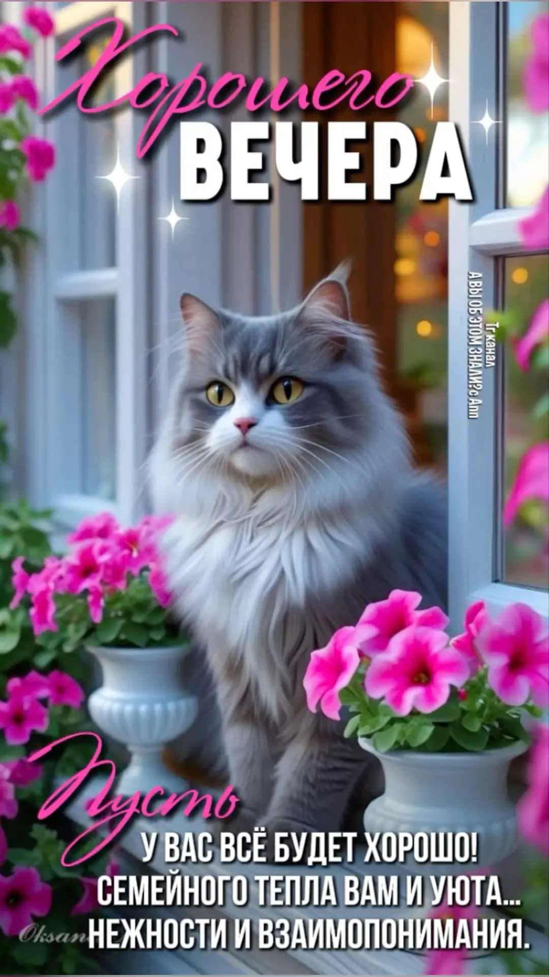 МОИ ОТКРЫТКИ 💌