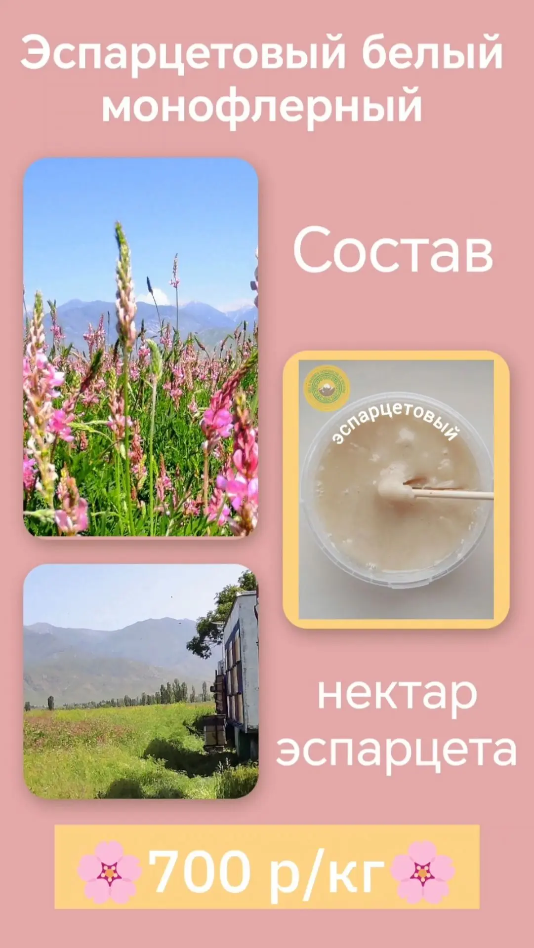 Медовый август - сладкое завершение лета! Пусть оно продлится как можно дольше ☀️🌳