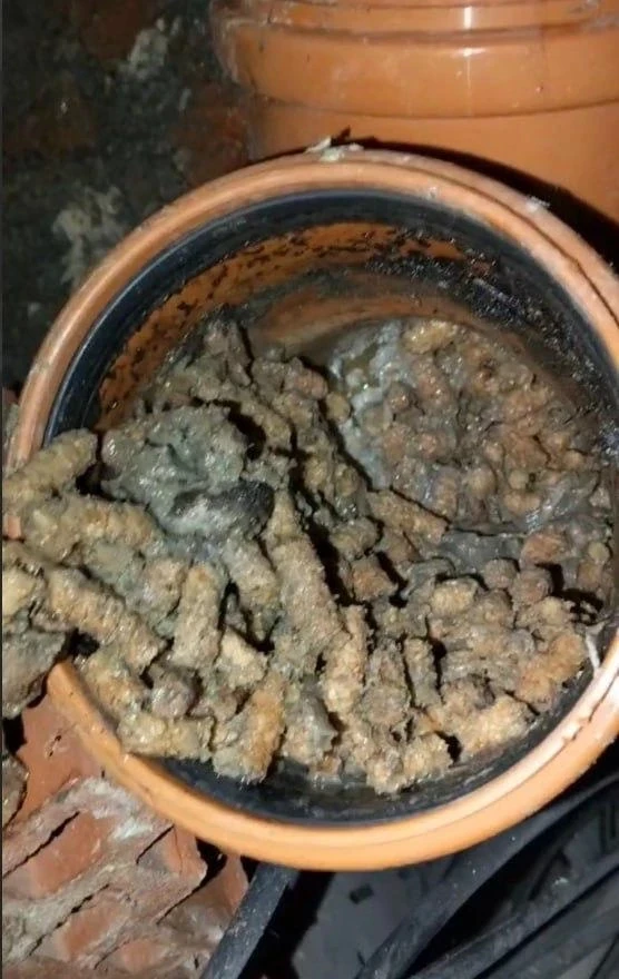 🚫 Пожалуйста, не смывайте кошачий наполнитель в унитаз
