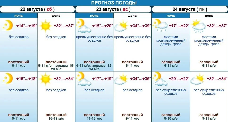 Жару до +39 градусов обещают синоптики на Ставрополье в это воскресенье😃