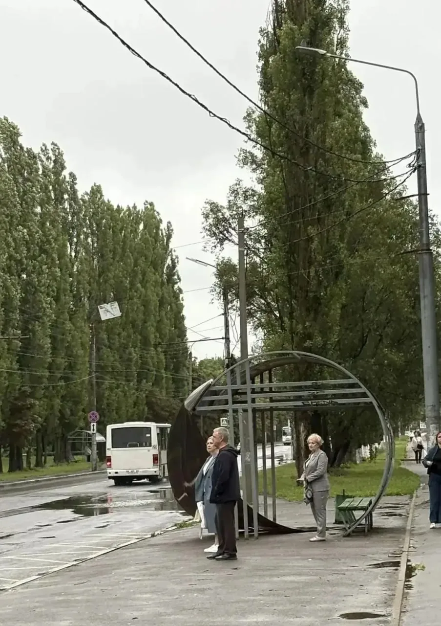 В Орле быстро отремонтировали остановочный павильон

Ночью порывом ветра с остановки на улице Металл