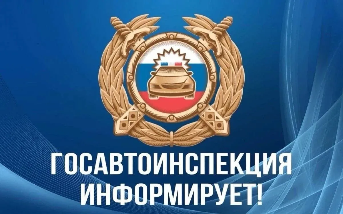 Уважаемые жители Кировского муниципального округа!