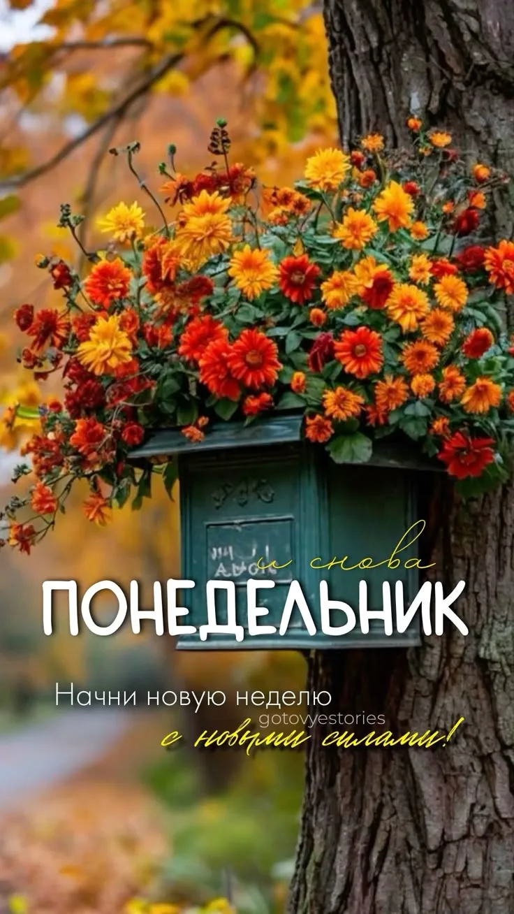 #понедельник