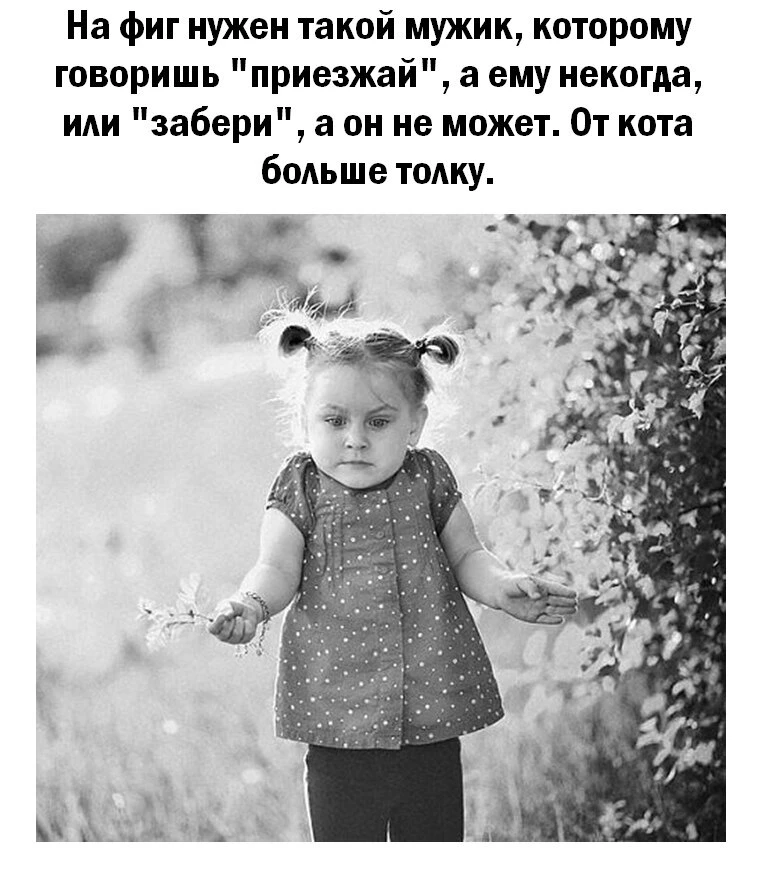 ОТ КОТА ХОТЯ БЫ ВСЕГДА ЗНАЕШЬ, ЧЕГО ЖДАТЬ — ОН СТАБИЛЬНО ОРЕТ, ТРЕБУЕТ ЕДУ И ГРЕЕТ ПО НОЧАМ! 😅

Под