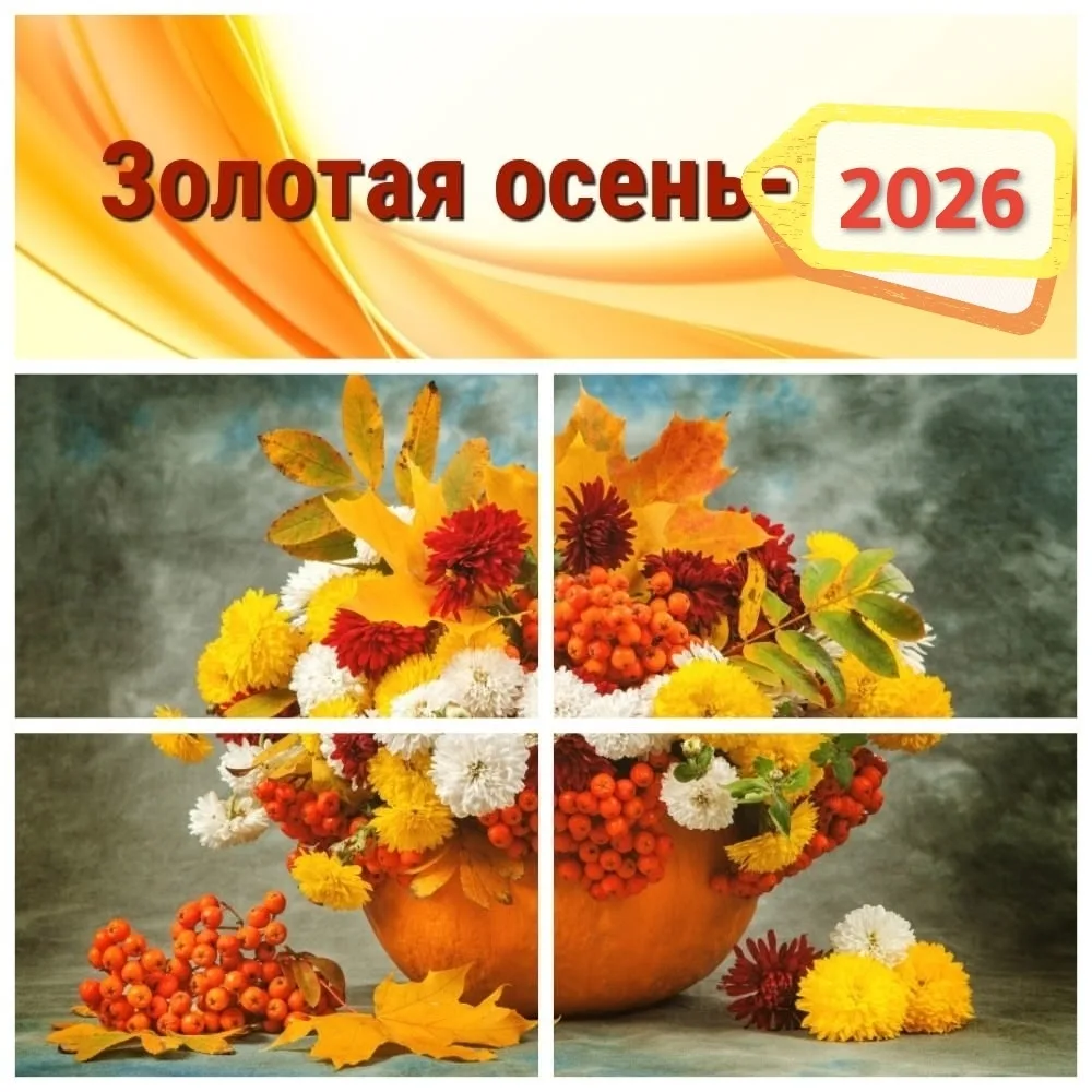 #конкурсы#выставки#новости#интересное@enotdel