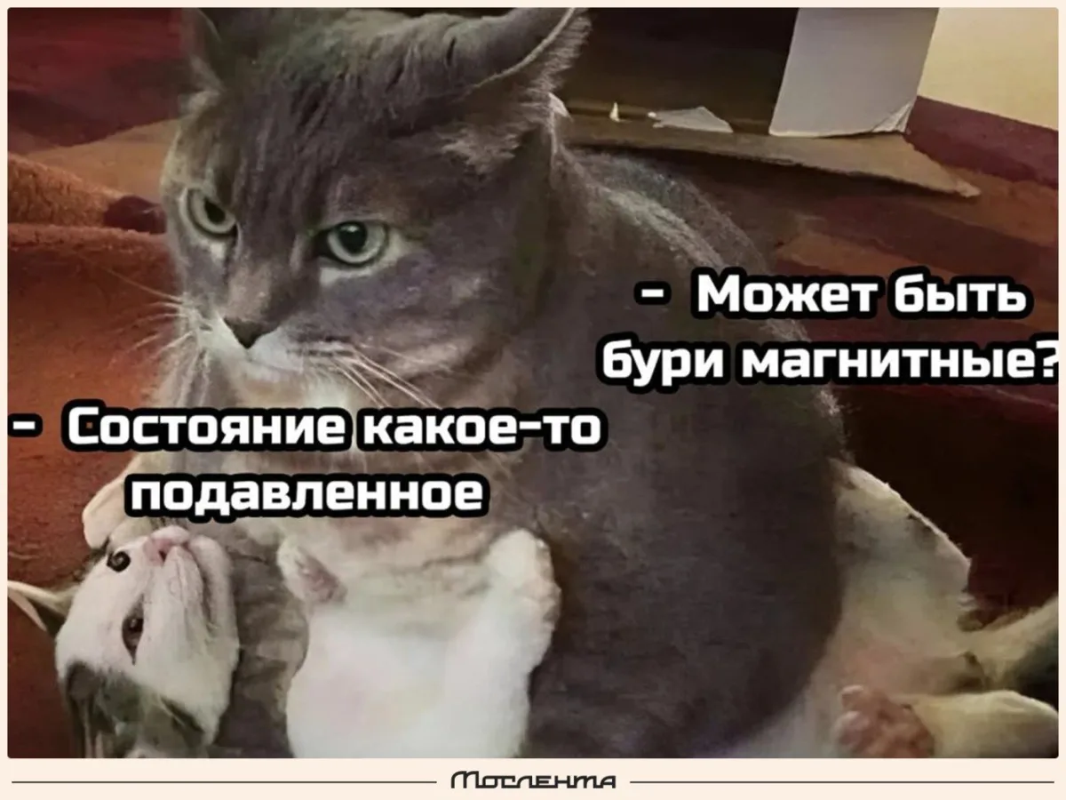🥲 Новый солнечный взрыв выбросил облако плазмы в сторону Земли. В пятницу ожидаются ма...