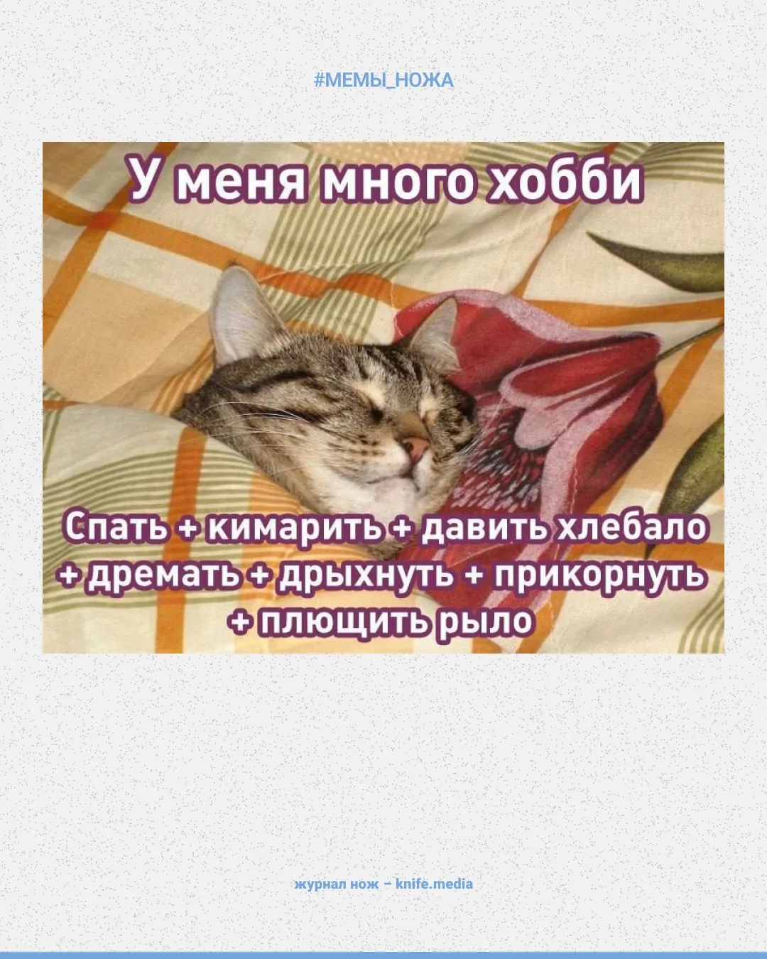 Как ваша первая неделя осени? Уже полное «хоа-хоа-хоа»?