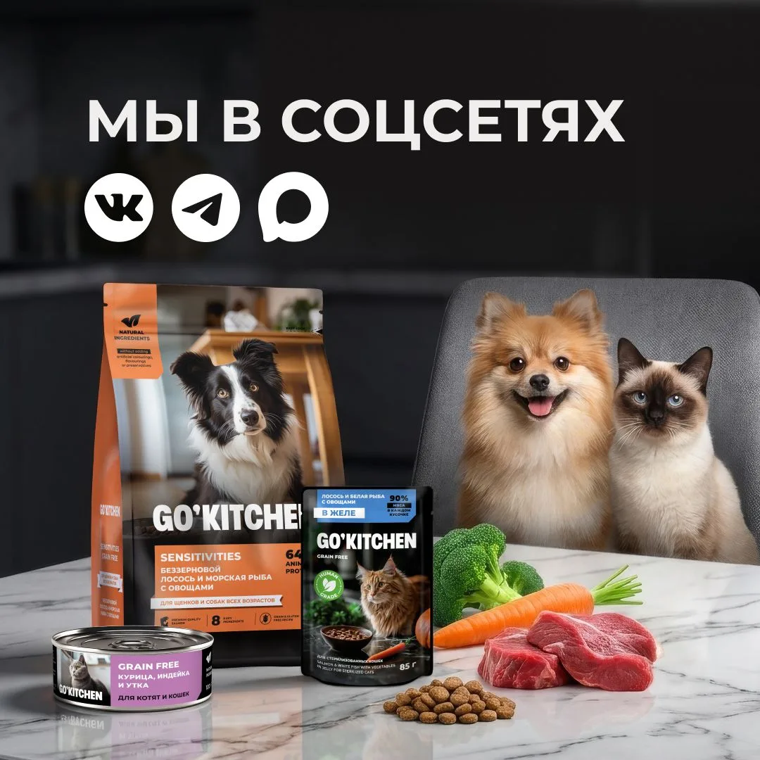 📲 Больше GO'KITCHEN. Больше пользы. Больше вдохновения для жизни с питомцем.