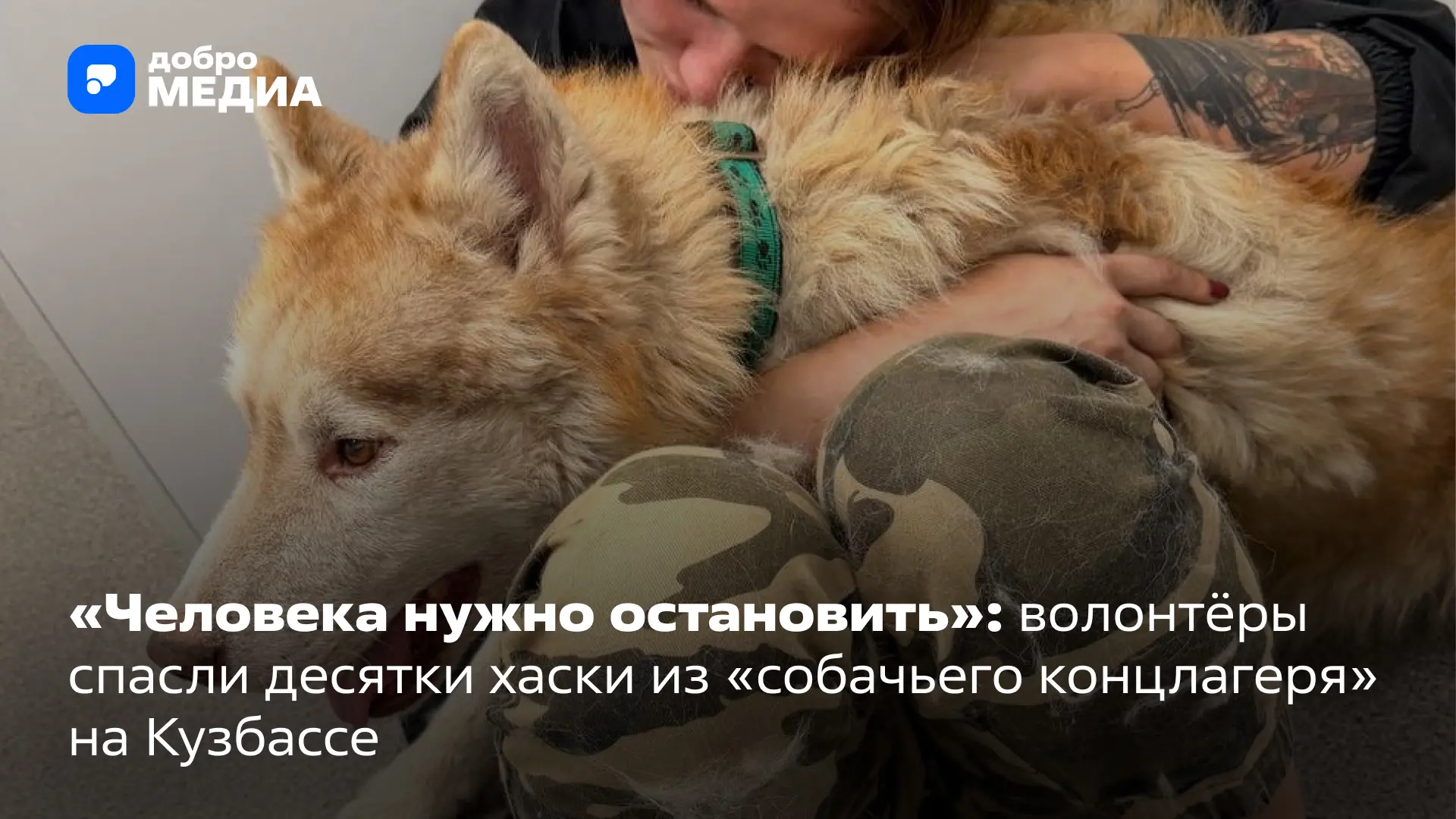 Волонтёры из Новосибирска предали огласке историю о частном домовладении в Кемеровской ...