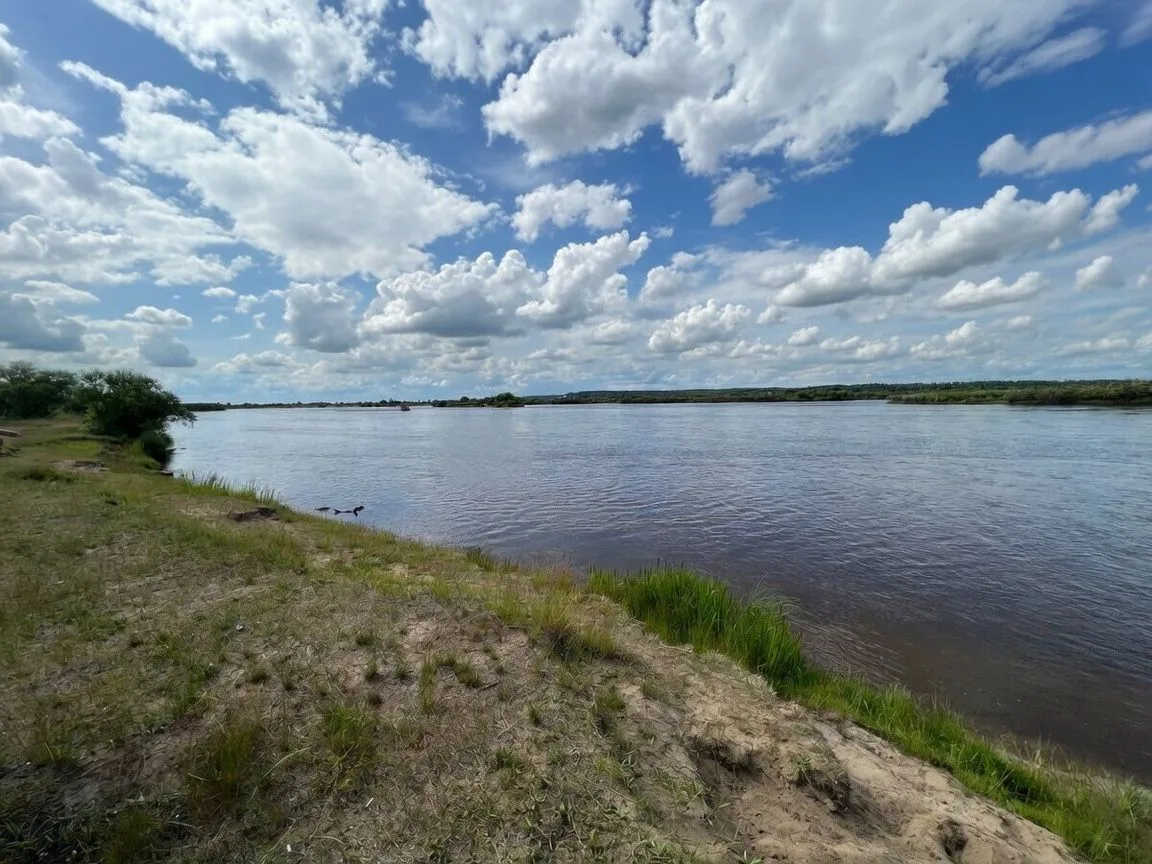 📉 Уровень воды в Томи идёт на спад
 
По данным геоинформационного портала «ГИС „Метео-ДВ“», уровень