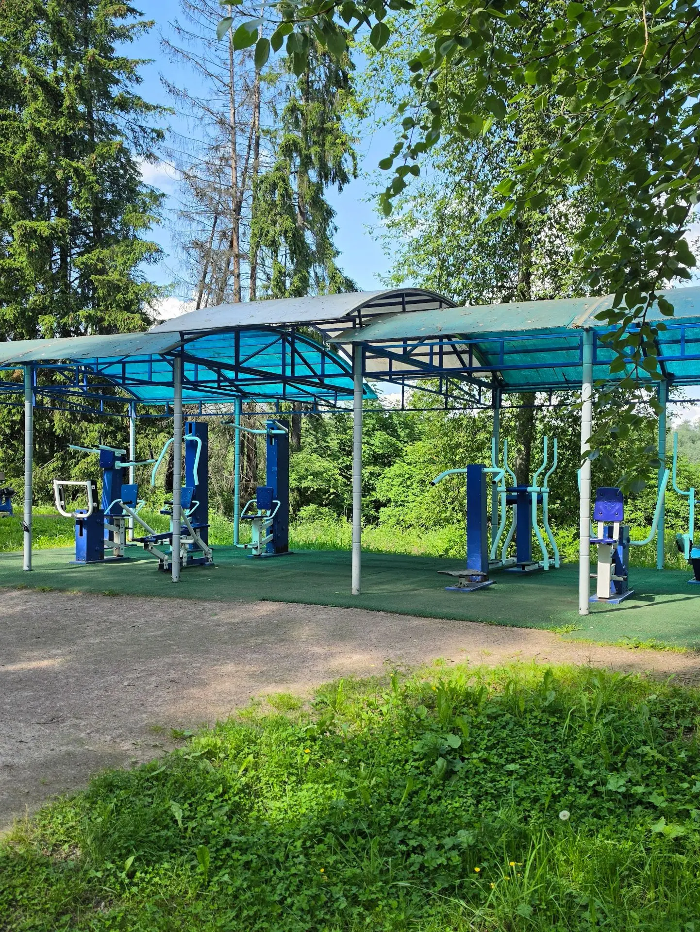 Когда мы прочитали в соц.сетях, что парк Ваккосалми закрыт на реконструкцию, слегка расстроились — а