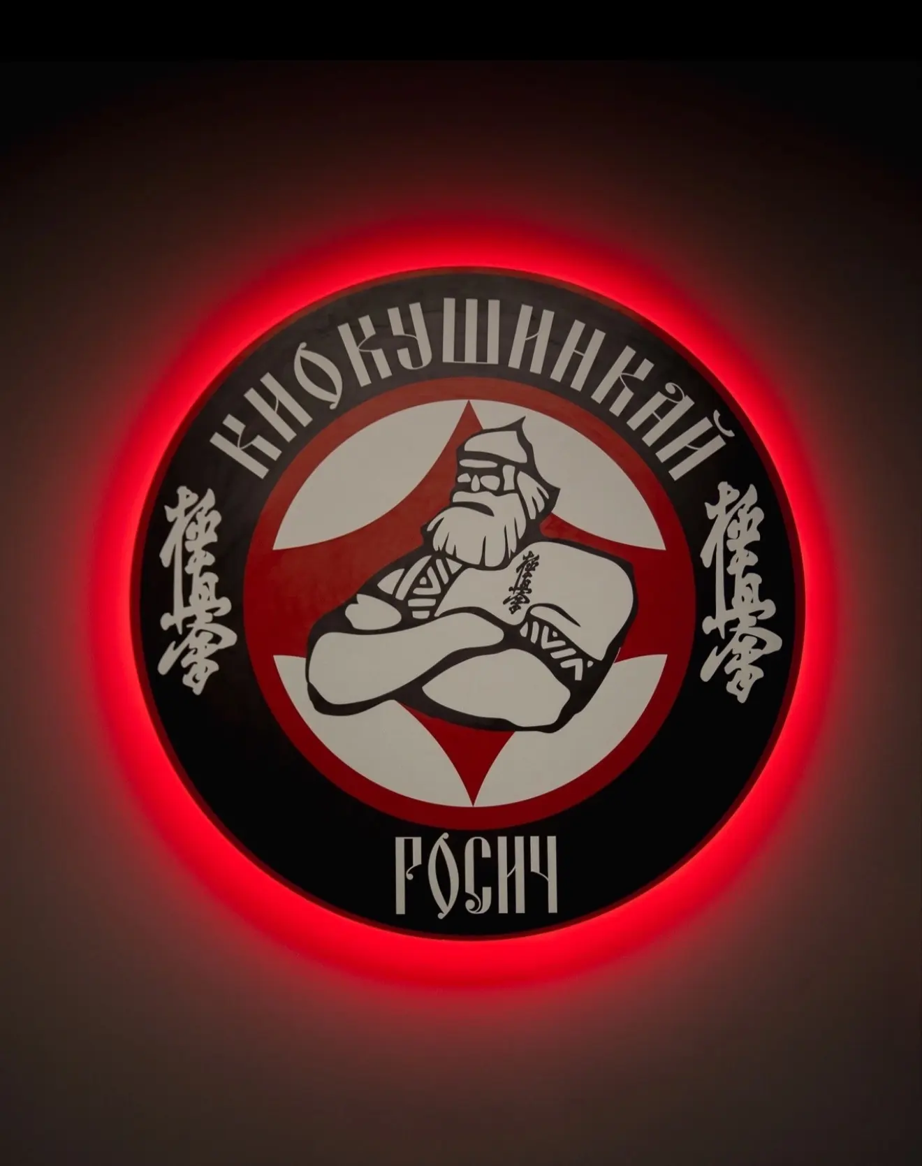 🥋«РОСИЧ»🥋