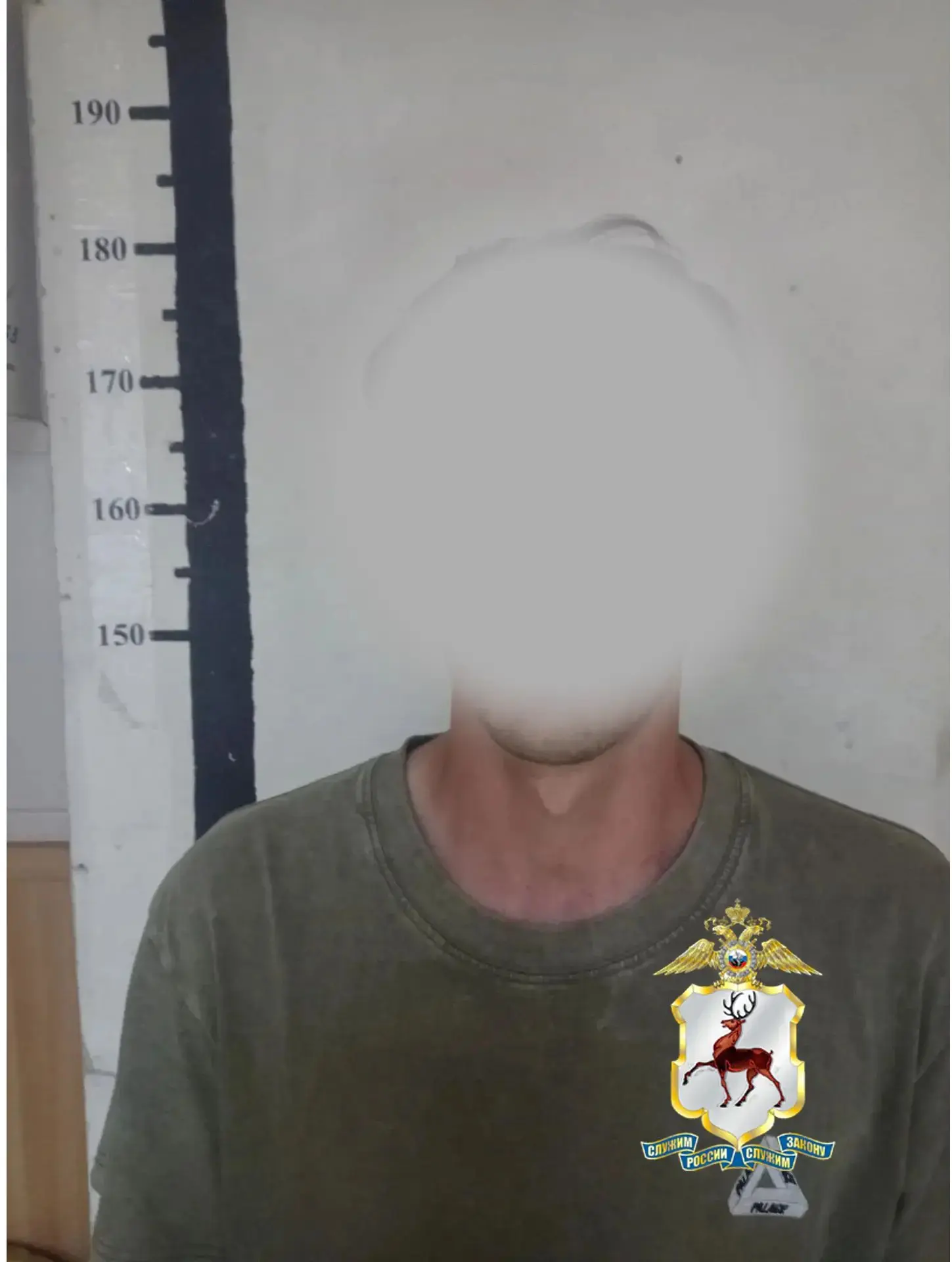 В Заволжье полицейские изъяли наркотическое растение у местного жителя