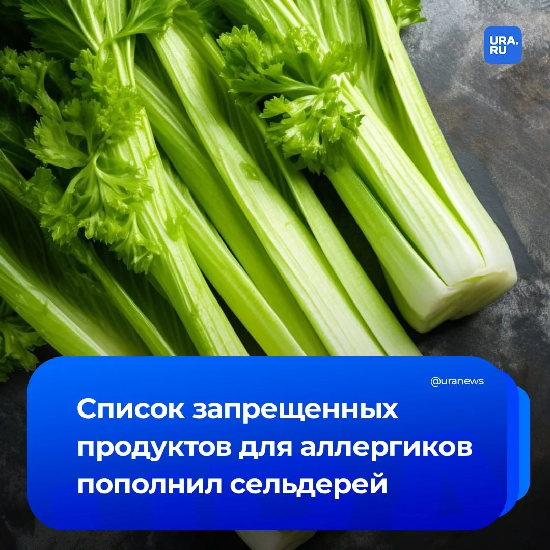 Сельдерей-убийца: россиянам, страдающим от сезонной аллергии на пыльцу березы, врач настоятельно рек