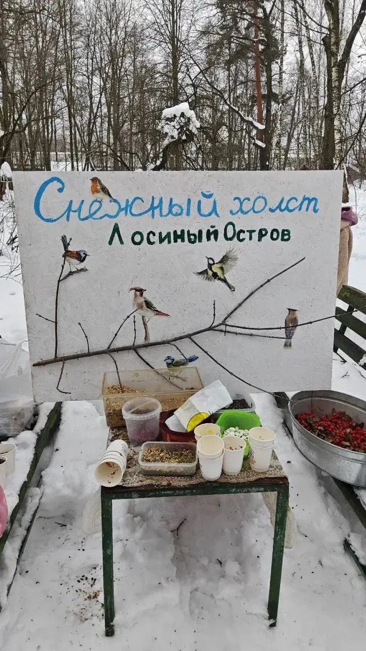 🥰«Первоклашки в деле» – и это дело доброе, творческое и важное!  🐦❄️Наш 1-Б класс стал участником фе