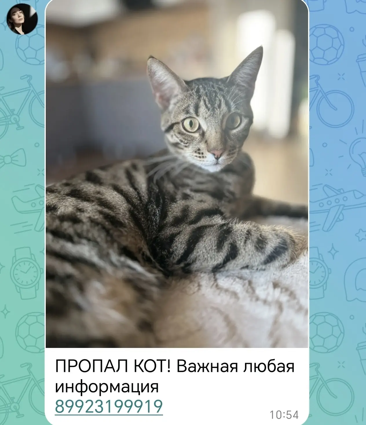 __________________________
Присоединяйтесь к нам: 
Матмасы в МАХ
Заречный в МАХ
Добрые новости Тюмен