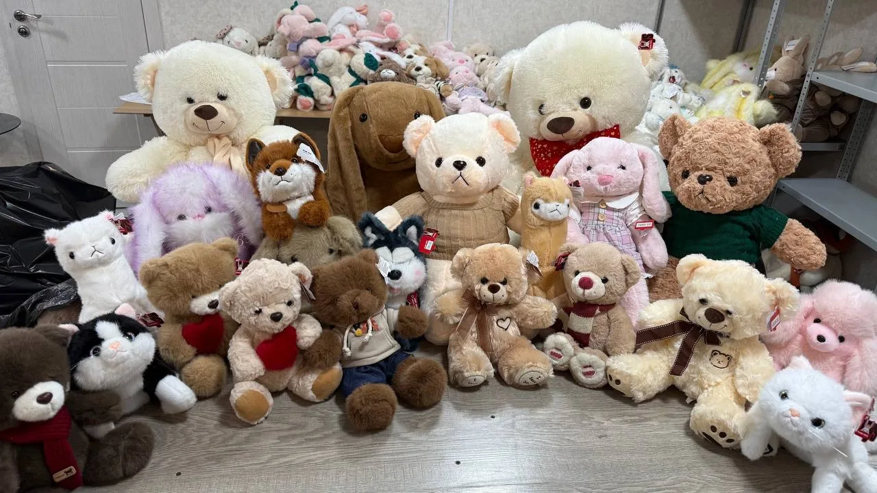 Набор из 22 игрушек 🧸