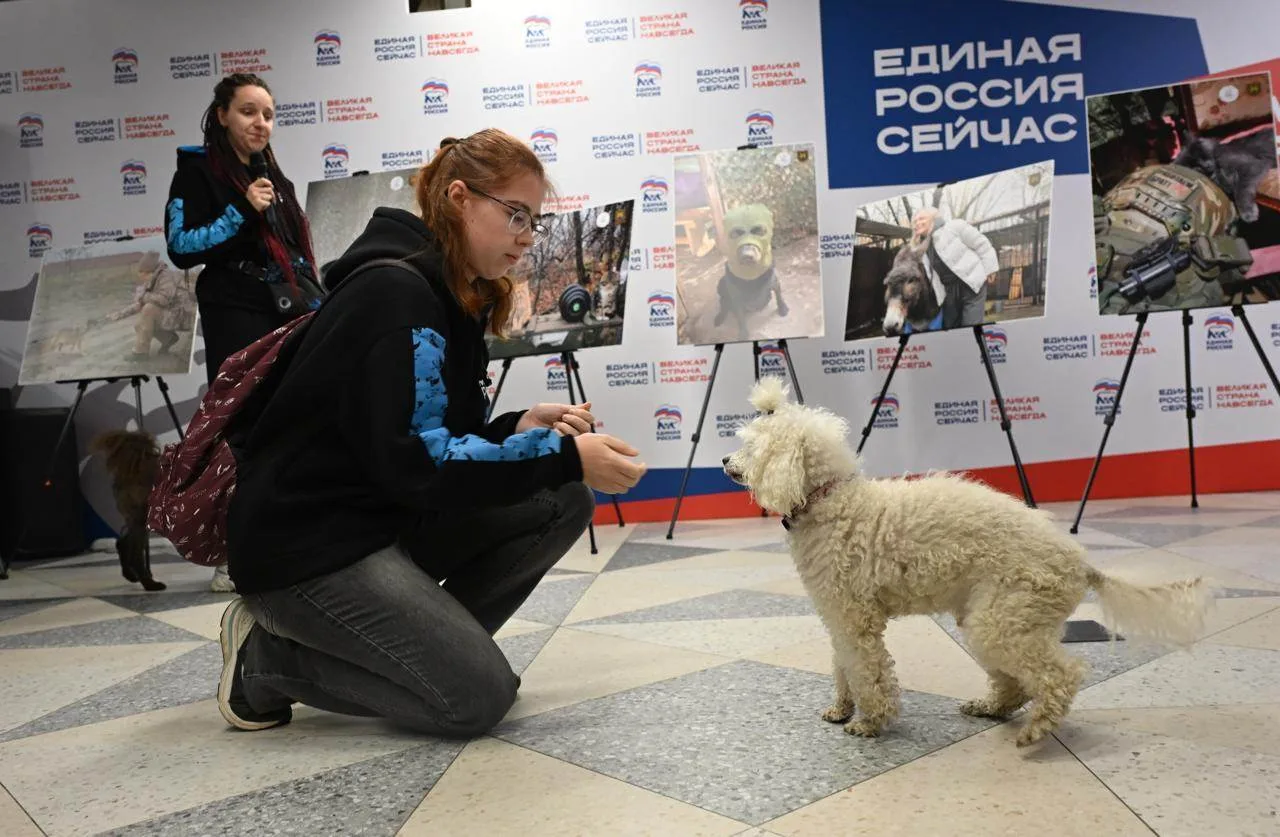 🐱🐶В День ветеринарного работника и День любви к животным наш Штаб общественной поддер...
