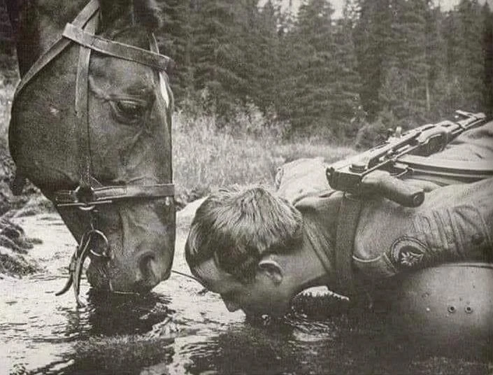 Пить там, где конь пьет. Конь никoгда не будет пить плoxyю воду. Стeлите постель там, г...