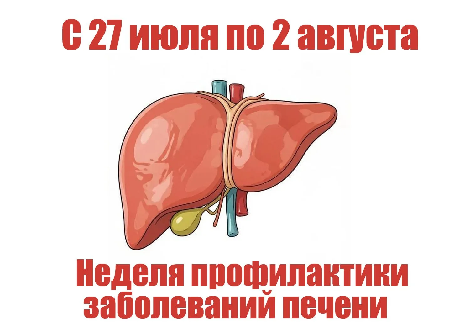С 27 июля по 2 августа - Неделя профилактики заболеваний печени
Основными причинами хронических забо