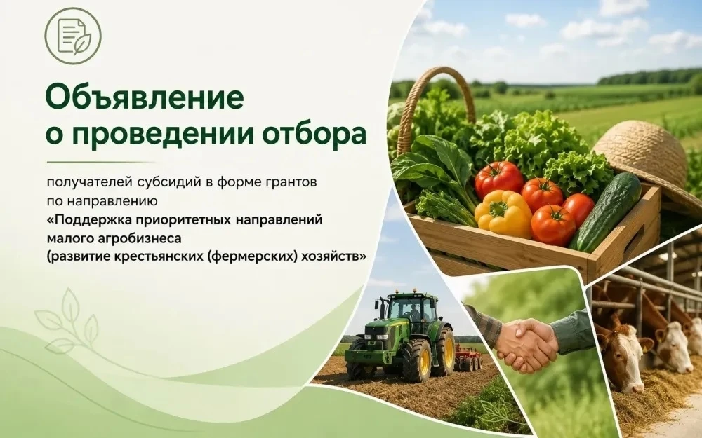 Продолжается приём заявок на участие в конкурсном отборе получателей грантов на развити...
