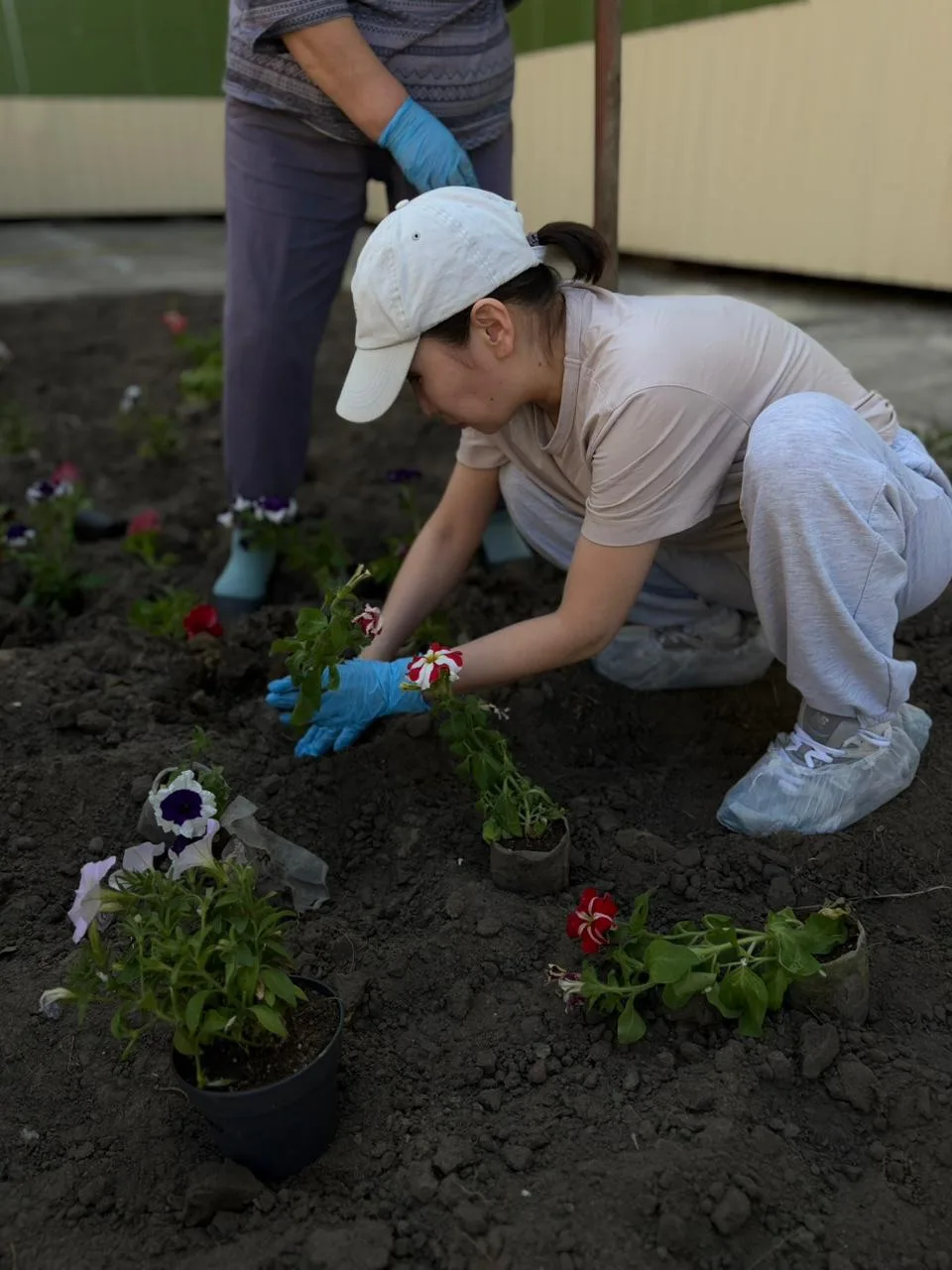 Сегодня мы добавили немного красоты на территории нашего Центра🌸🌼🌺🌷🪻🥀. Наши сотрудники дружно 