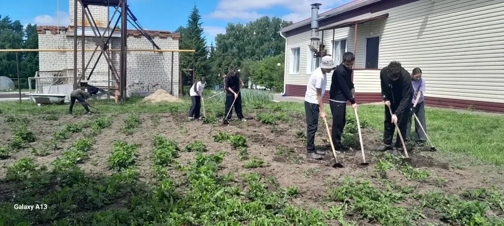 В третий день работы пришкольного трудового лагеря «Ритм» учащиеся пропололи сорняки на...