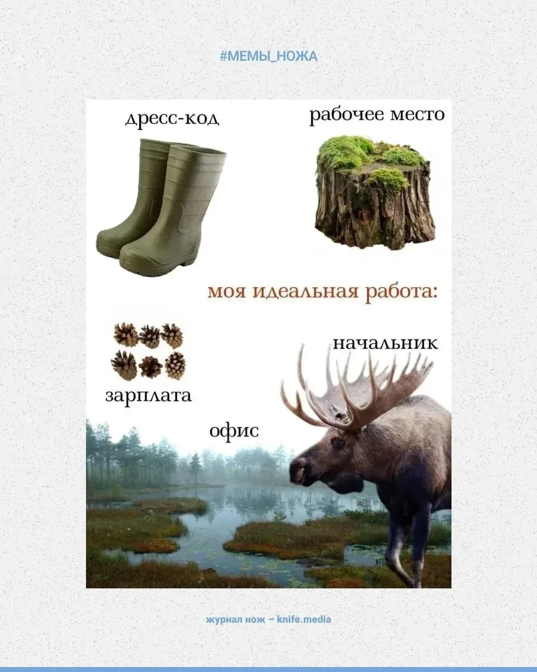 Хвойный привет!