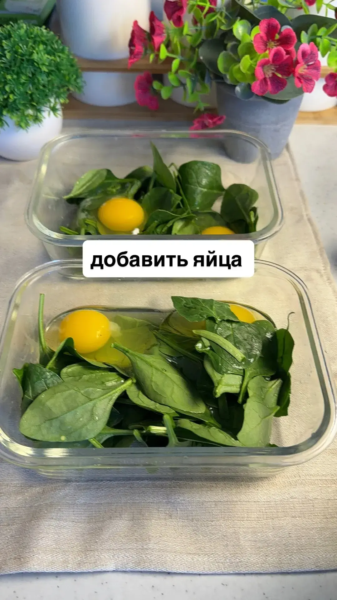 Белковый ужин, который можно есть даже на ночь)  Ингредиенты: Шпинат — 50 г яйца — 2 шт творог зернё
