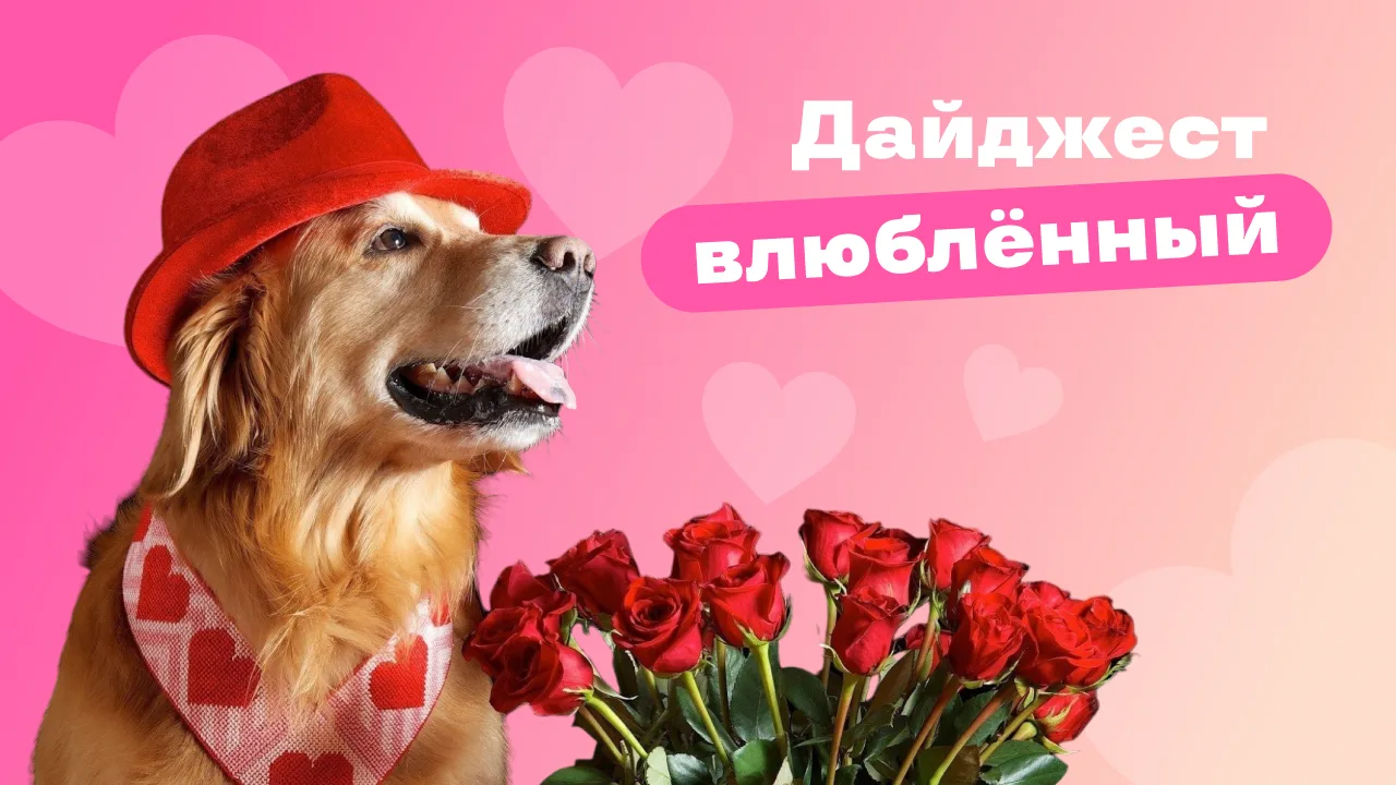 В воздухе пахнет цветами, валентинками и… возможностями! Да-да, День всех влюблённых — это не только