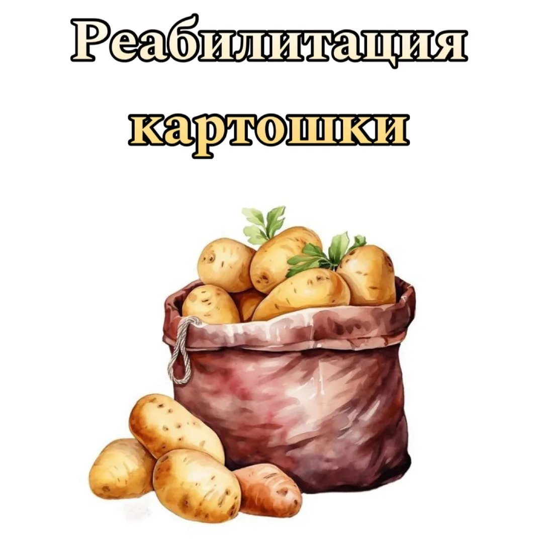 🥔 Реабилитация картошки: почему молодой картофель в конце июля — это суперфуд для худеющих?

Девочк
