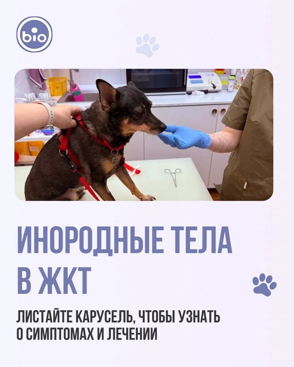 Инородные тела в ЖКТ