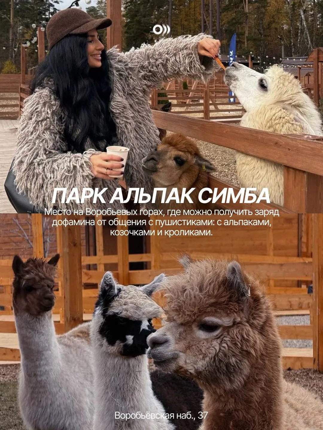 📎Где отдохнуть в Москве на выходных?