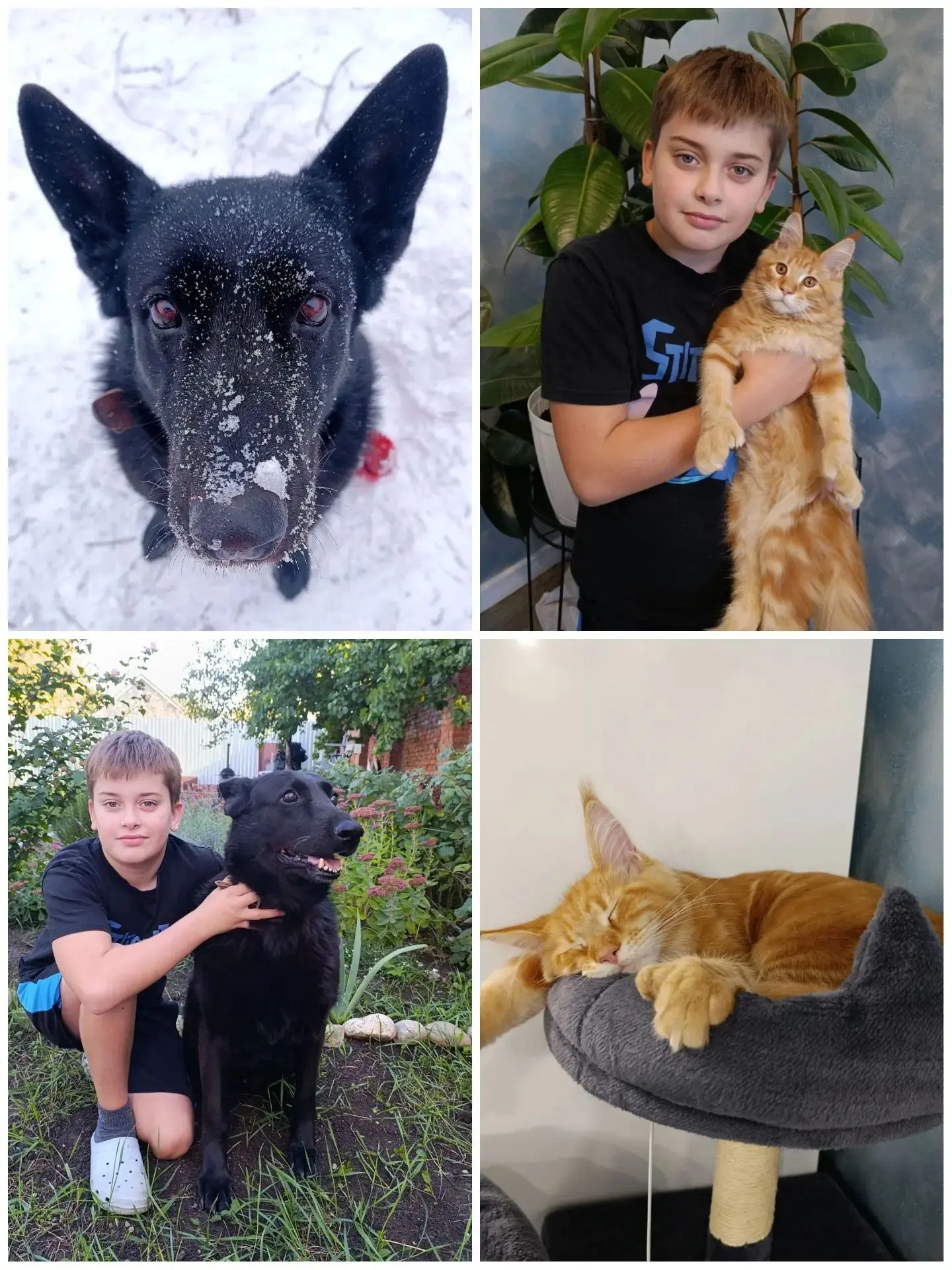 🐾 Внимание, онлайн-акция! Фотомарафон «Лапы, уши и хвосты» 🐶🐱