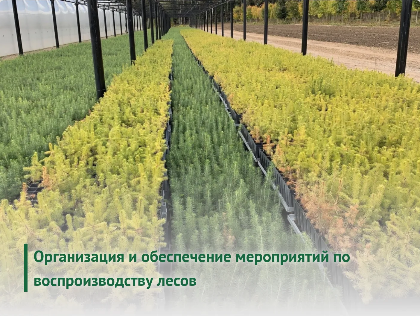 Приглашаем на дистанционный курс повышения квалификации «Организация и обеспечение меро...