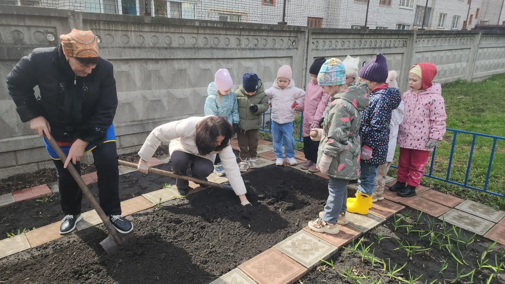 Огород на подоконнике: маленькие чудеса в детских садах Курска  На подоконниках детского сада № 85 р