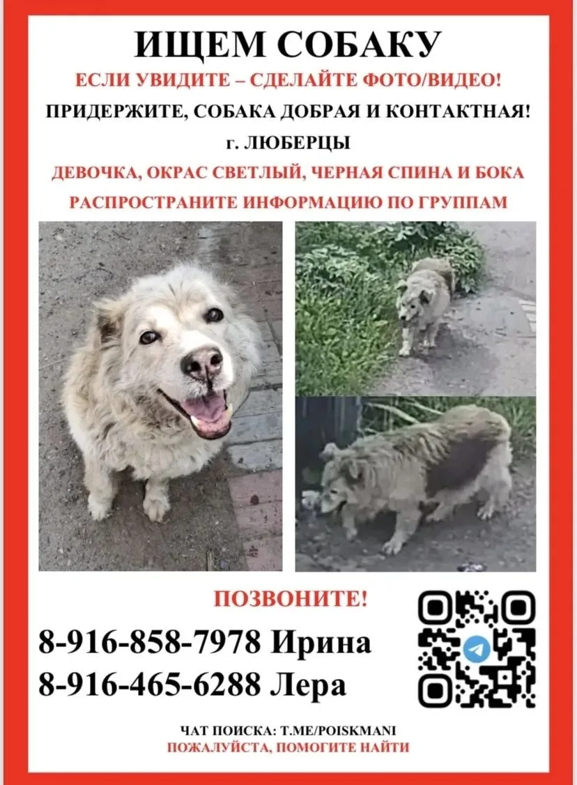 Подписаться 🤗