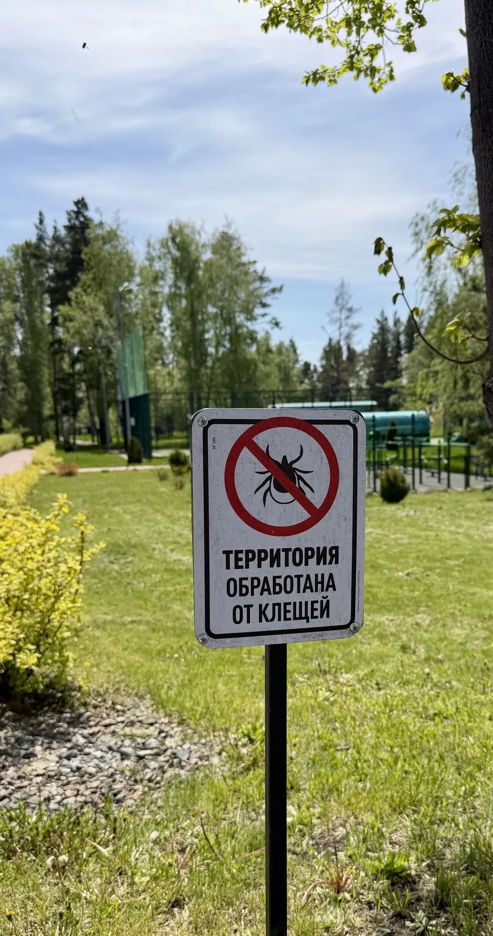 🌿 Гуляйте спокойно: территория обработана от клещей! 🌿