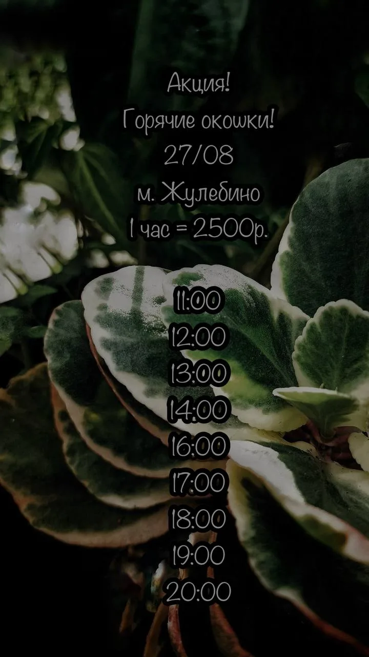 🌿Горячие окошки🌿