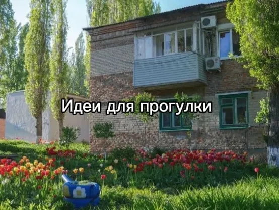 🌿 Идеи для прогулки на осень