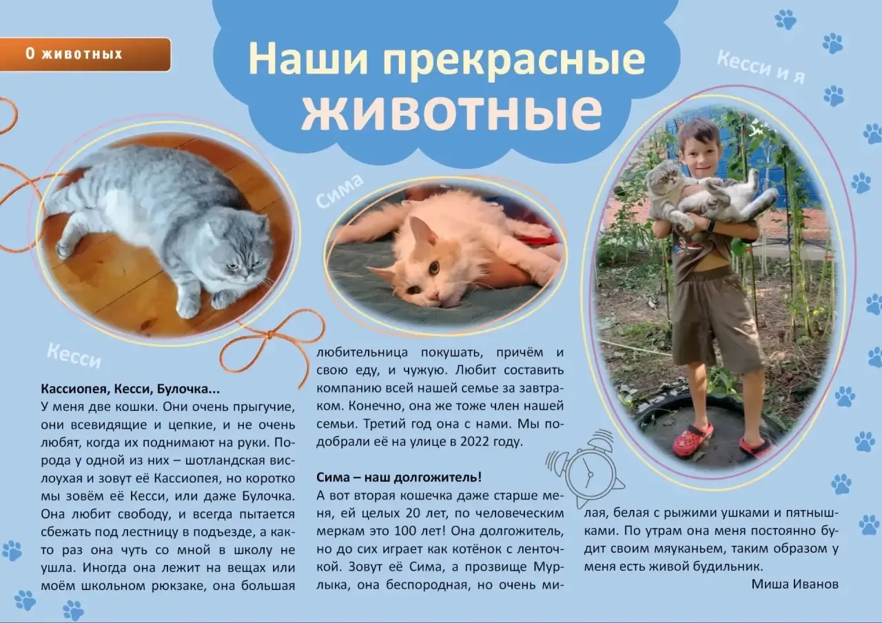 📍4 октября - Всемирный день защиты животных!