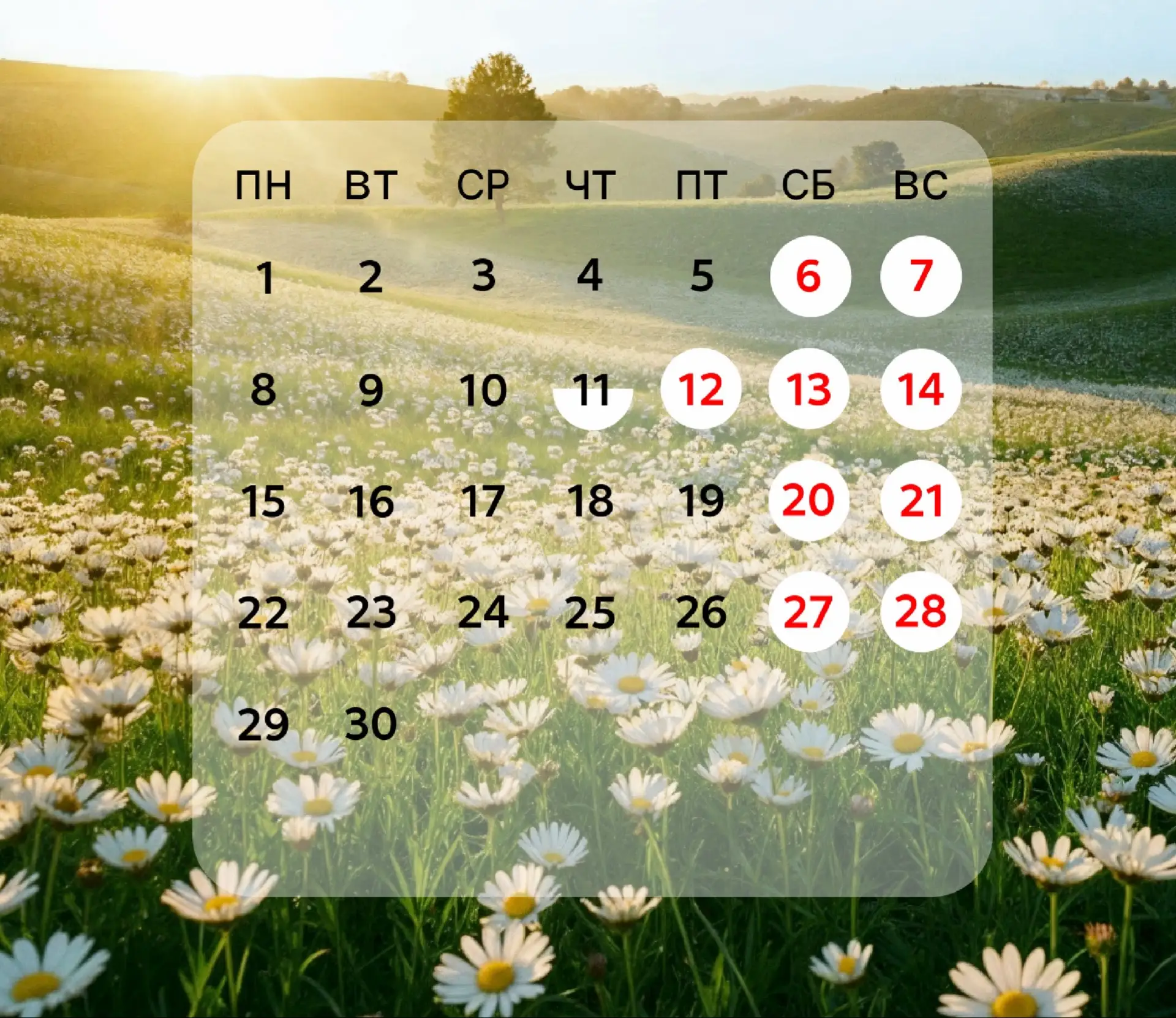 📅 График работы в июне