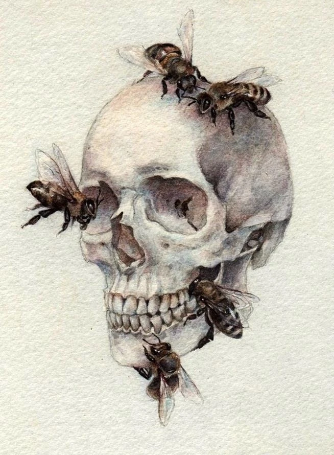 - Marco Mazzoni