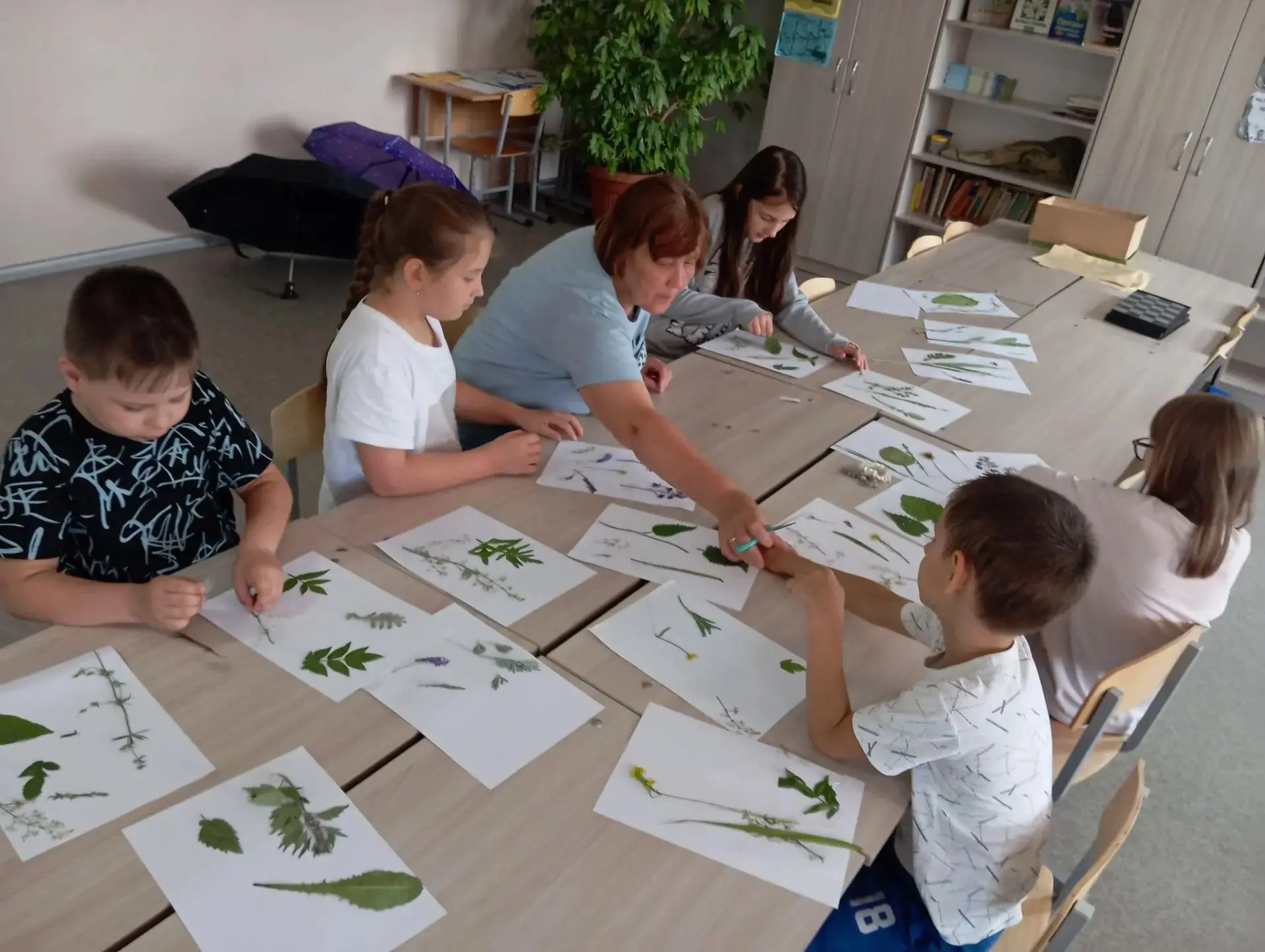 Сегодня 4 отряд погрузился в мир природы! 🌿🔬Ребята провели исследовательскую работу "Растения наше