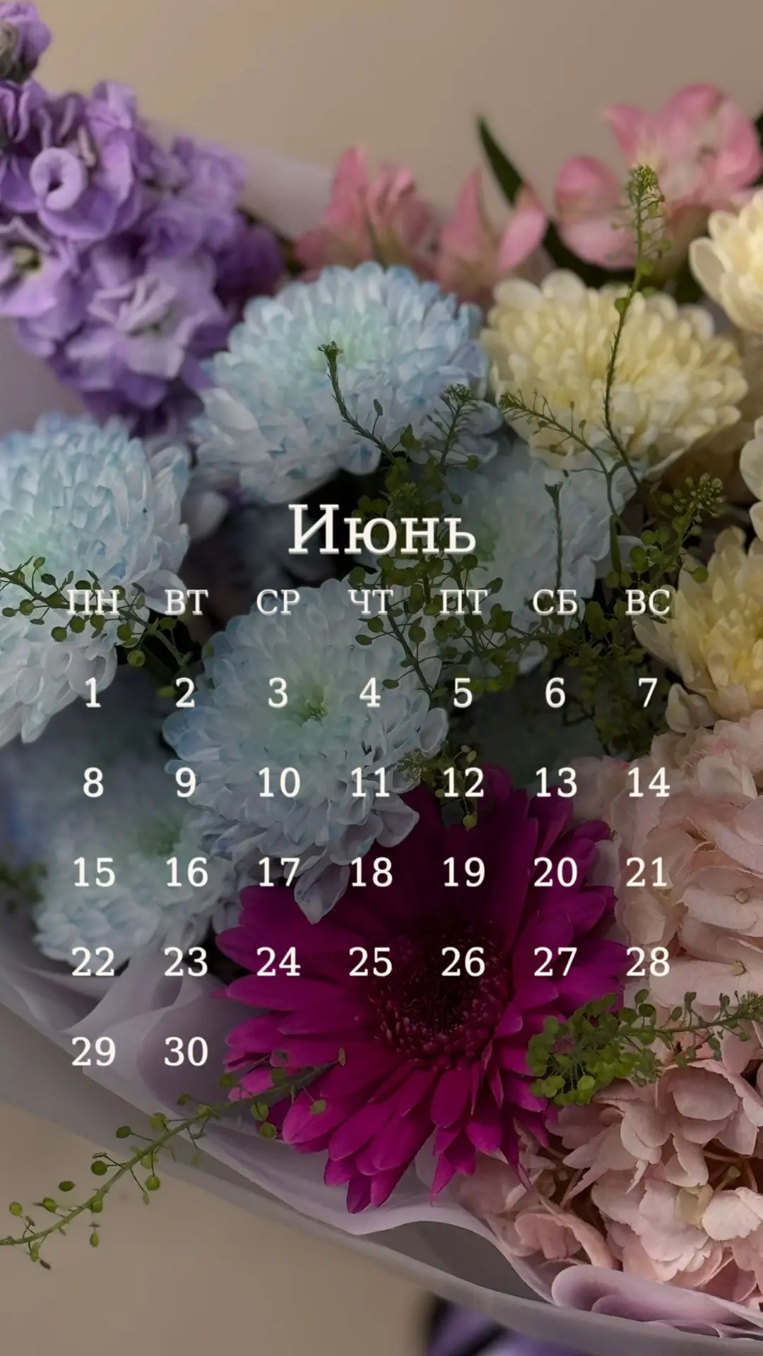 ☀️ Первый день лета. Начнём красиво?

Мы подготовили для вас июньские календари с нашими цветами 🌸
