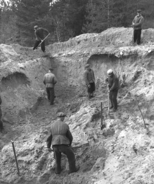 Сибиряки в два миллиона лет  В 1961 году в Сибири, рядом с Горноалтайском, на реке Уталинка, учёные 