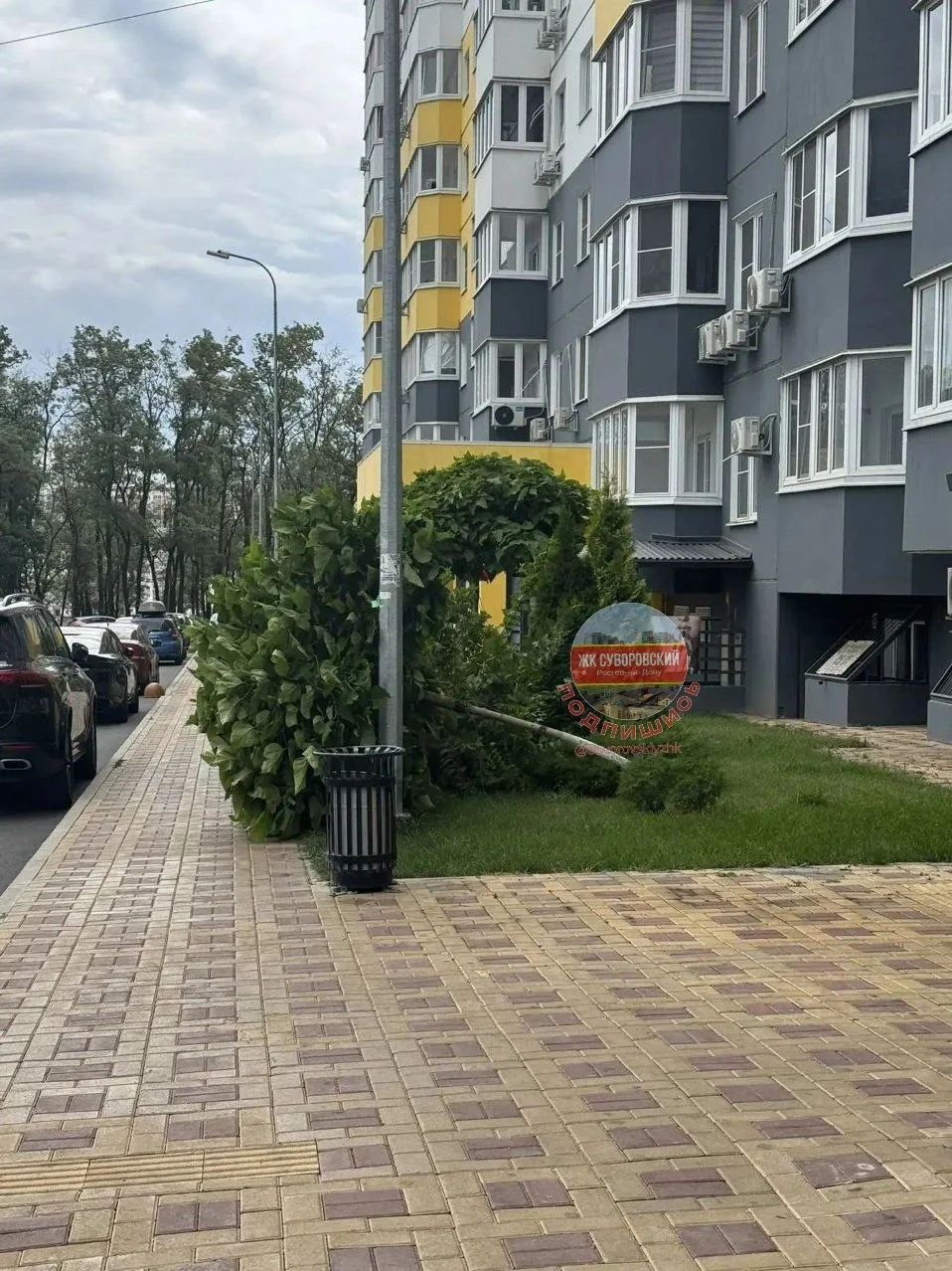 Грустное зрелище😞😭