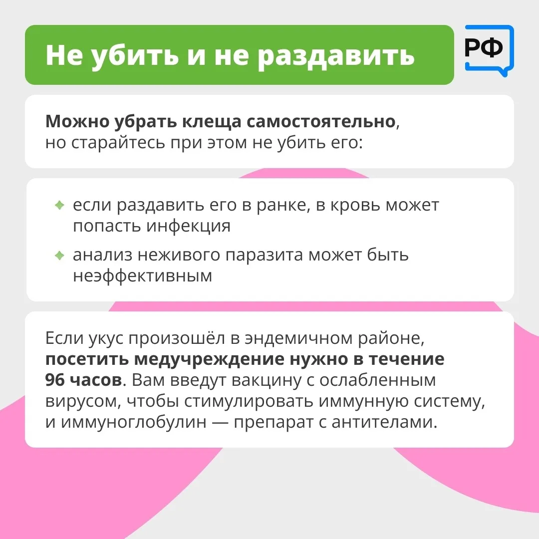 Вместе с клещом можно подцепить опасные болезни. Например, боррелиоз — он затрагивает кожу, сердце и