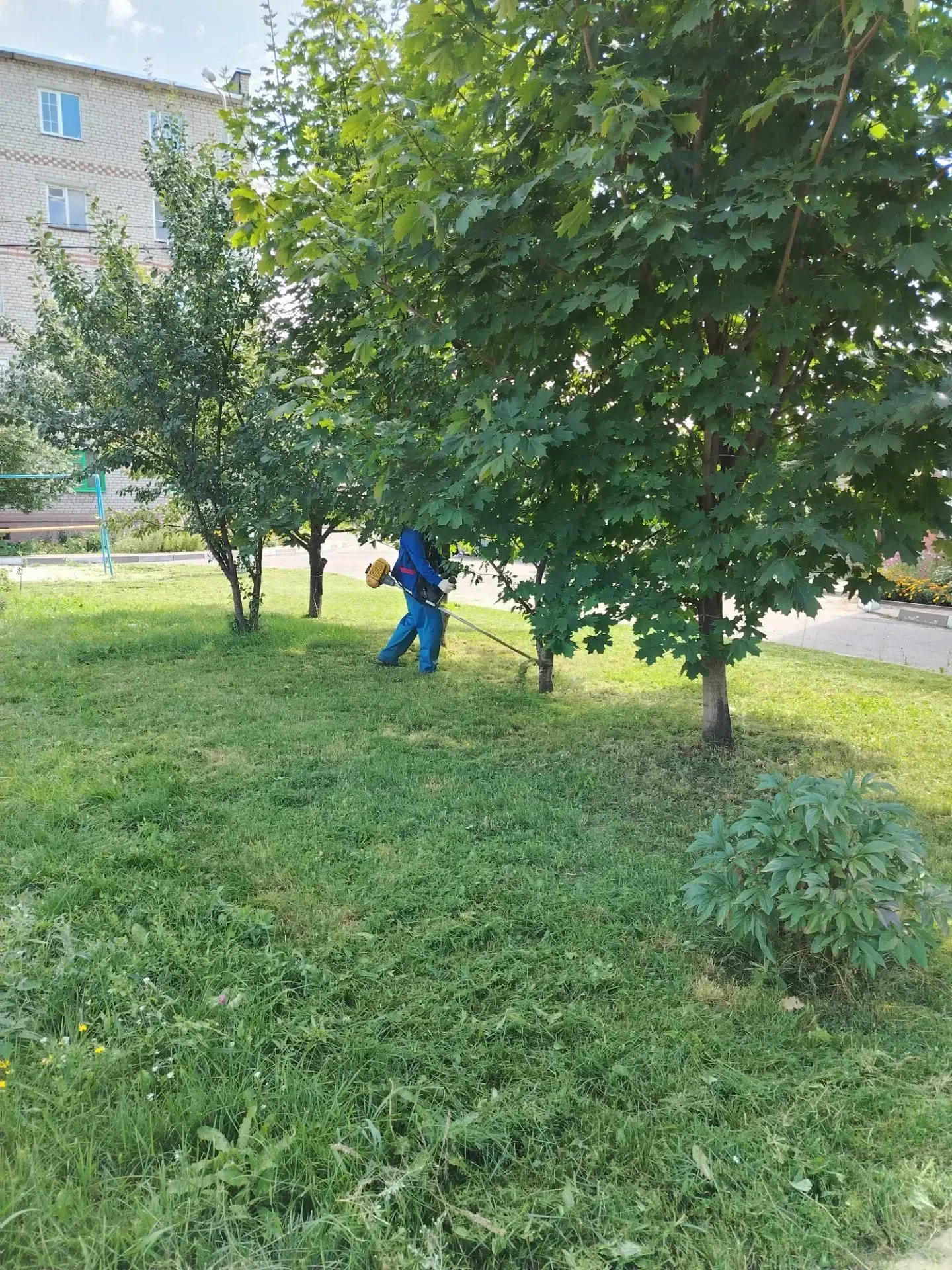 Покос травы на Ваших МКД